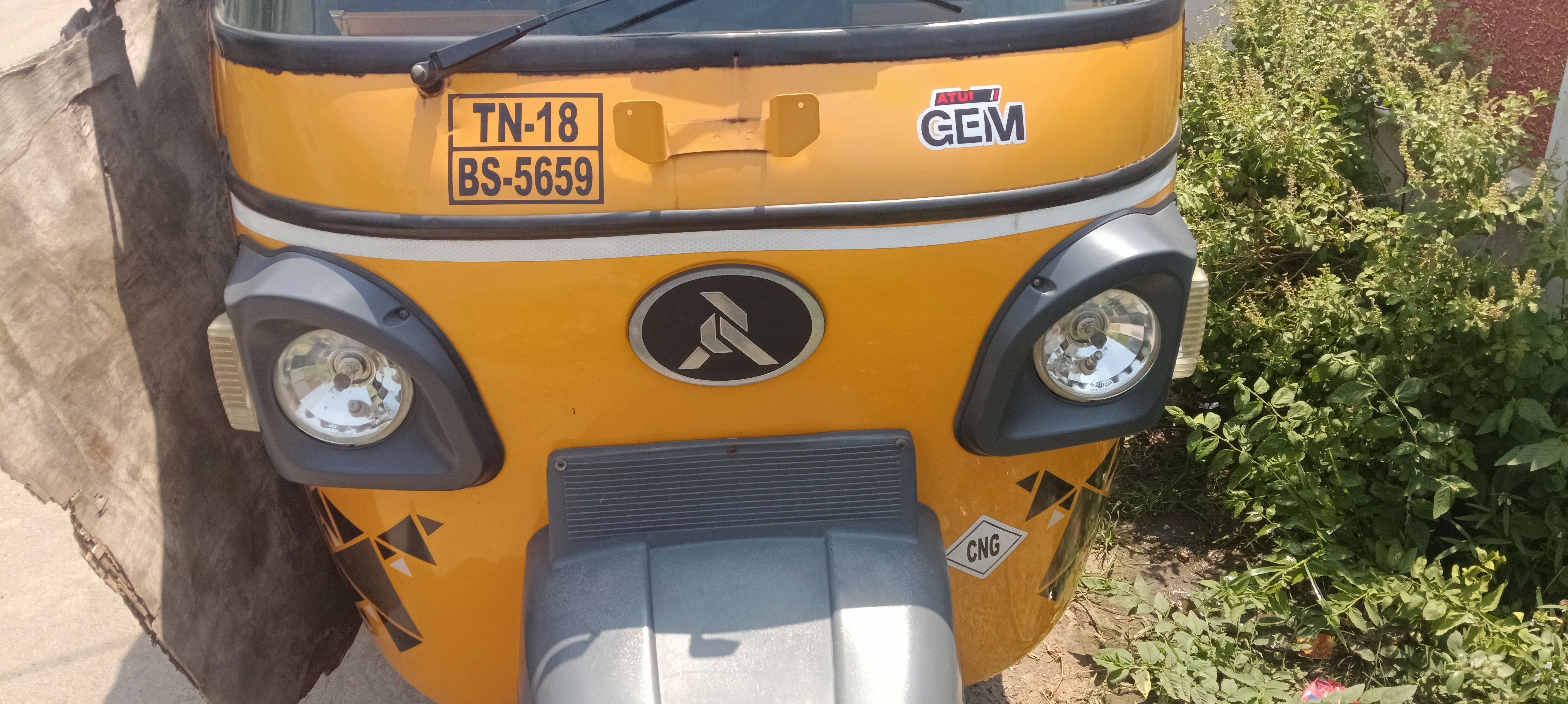 Auto Image