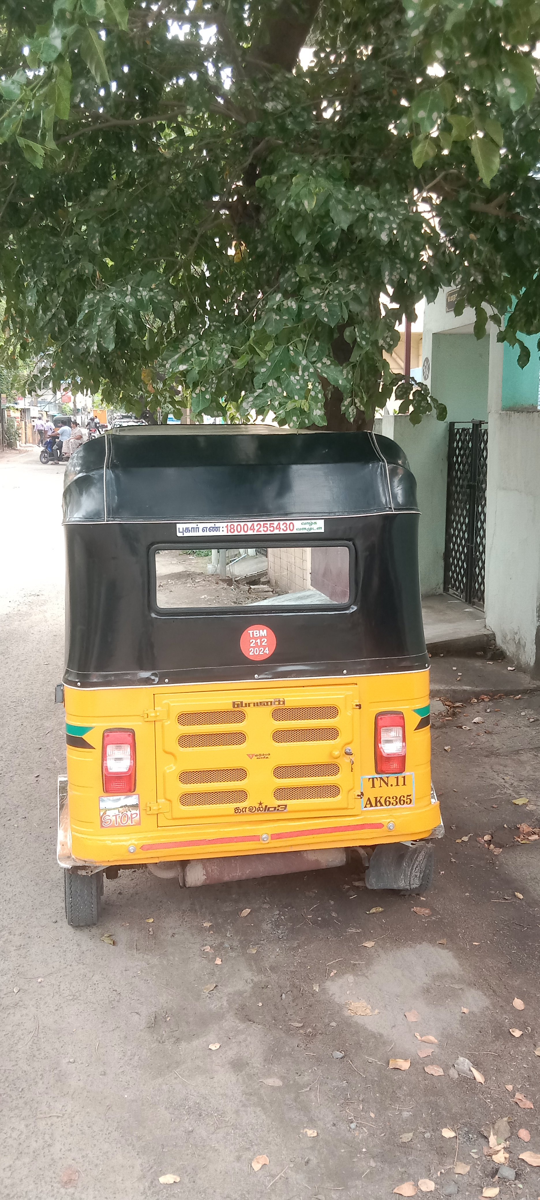 Auto Image